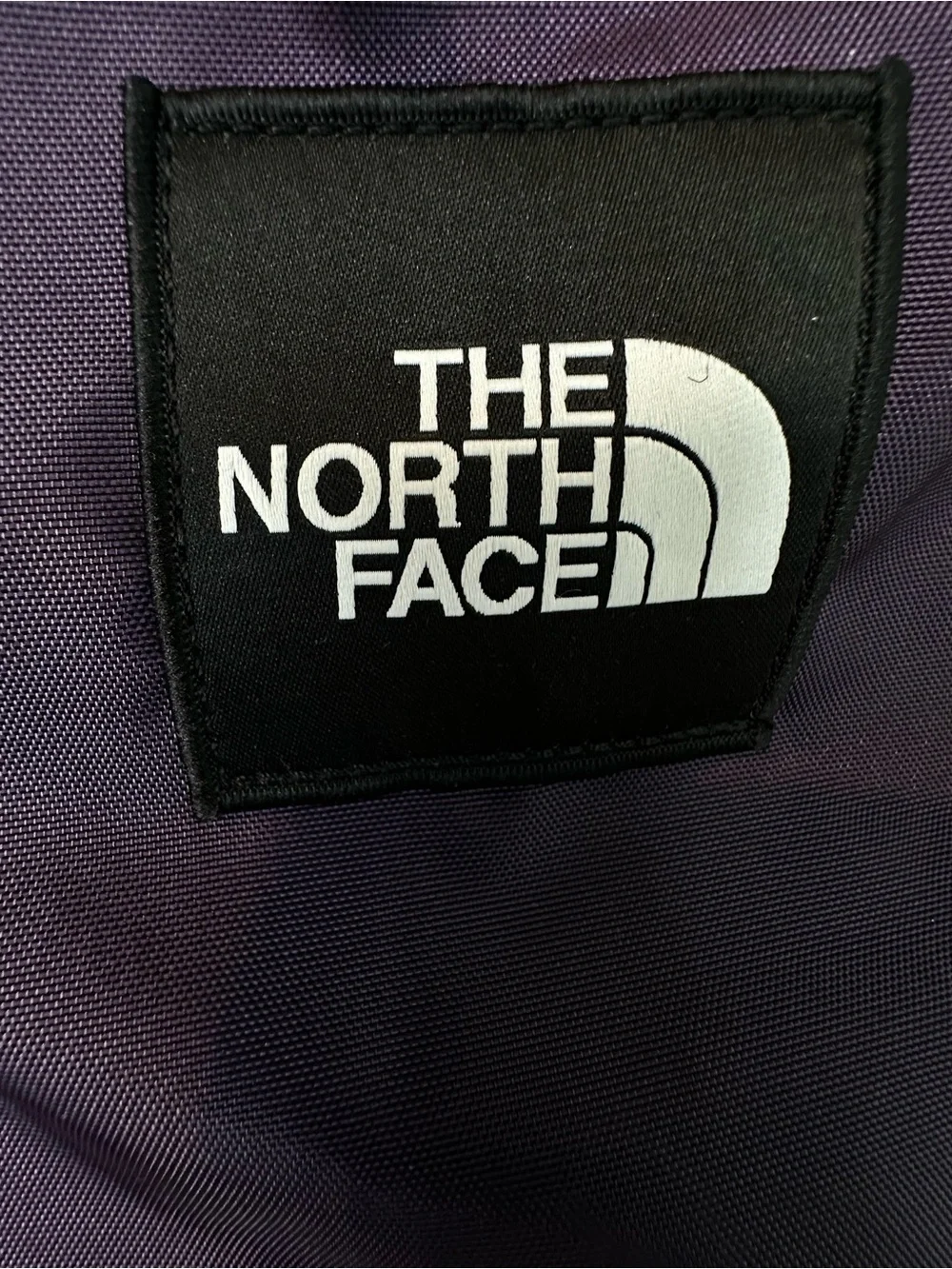 The North Face Purple and Gray Men's Backpack